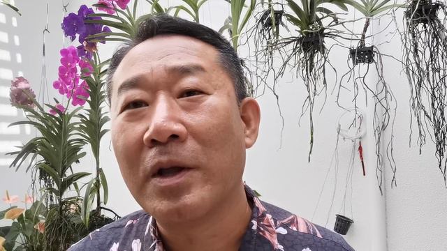 ACABE COM AS PEDRAS NOS RINS | PETER LIU смотреть онлайн