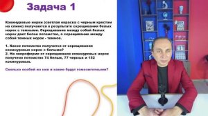 Биология ЦТ | Решаем задачи на неполное доминирование | Генетика