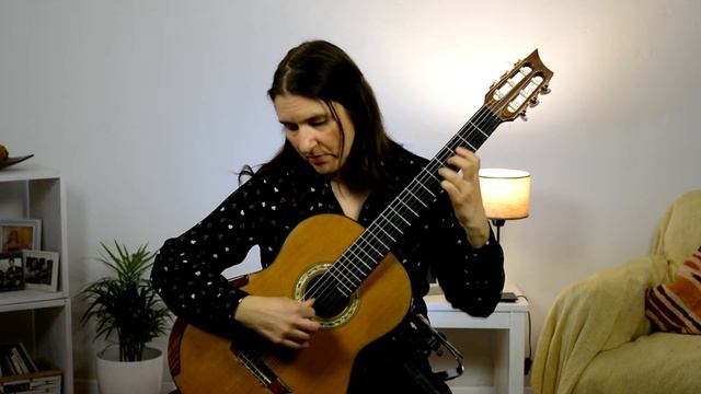 Abel Fleury. Real de guitarreros. Silvana Saldaña смотреть онлайн