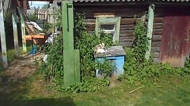 Поездка в Шачебол смотреть онлайн