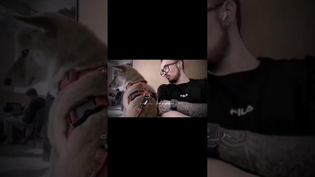 #эдисон #марти смотреть онлайн