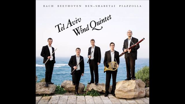 Bach Trio Sonata BWV 525 (adagio) - Tel Aviv Wind Quintet / חמישיית תל-אביב смотреть онлайн