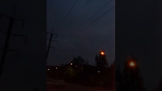 очень много птиц на небе смотреть онлайн