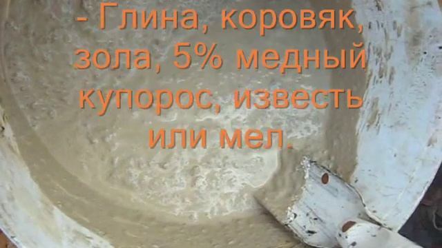 Как ухаживать за стволом дерева смотреть онлайн