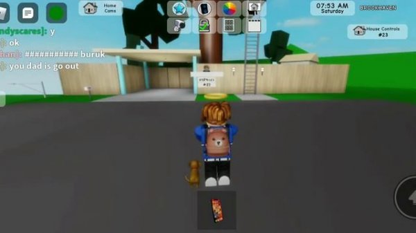 roblox game:Brook heaven