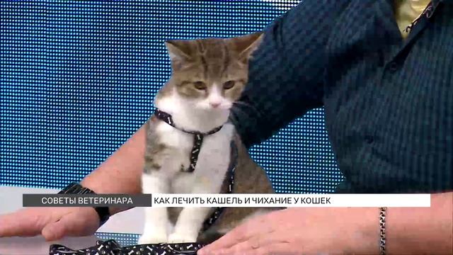 Идеальные ресницы, достойные похвалы