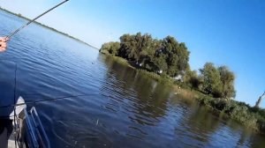 ВЕЧЕРНЯЯ РЫБАЛКА В МИТИНКЕ