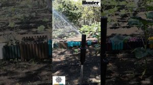 Роторный дождеватель Hunter PGP ADJ