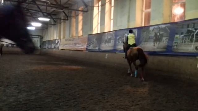 Я на своём любимом коне Певучем смотреть онлайн