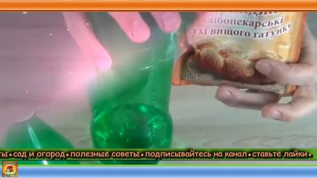 Как сделать ловушку для комаров своими руками из пустых пластиковых бутылок. Дачные хитрости смотреть онлайн