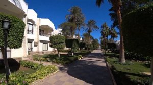 Что ждать от дешевого отеля в Египте? Zya regina resort aqua park 4*