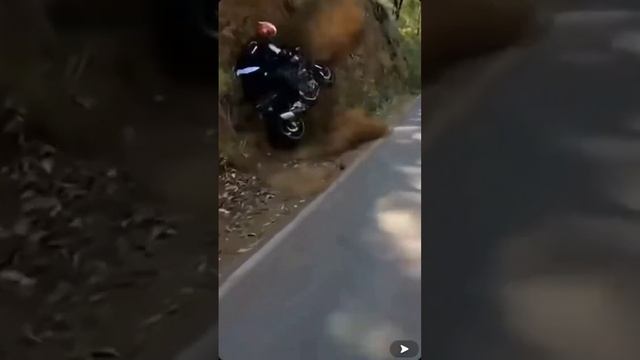 ВСЁ ПОШЛО НЕ ПО ПЛАНУ Ч 2! #приколы2024 #coubshow смотреть онлайн