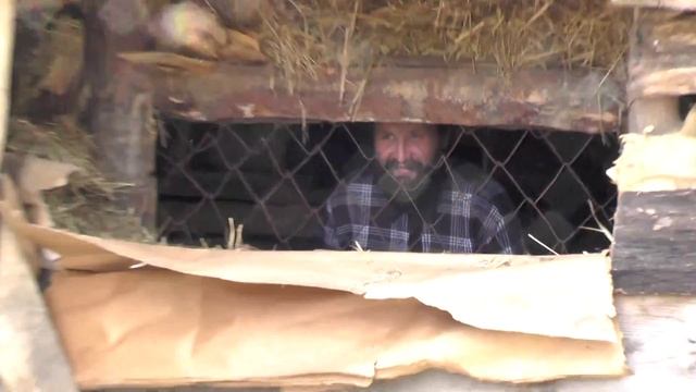 У вольера для собак новые ворота вместо исчезнувших. смотреть онлайн