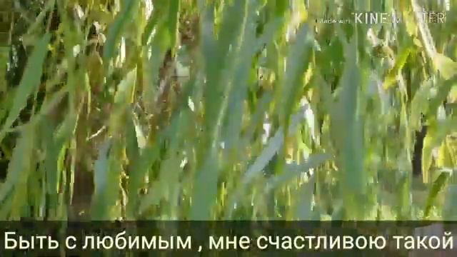 ,, Ивушка" Валентина Собанцева засл. арт. России, видеоролик со словами смотреть онлайн