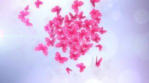 С Днем Святого Валентина: футаж сердце из бабочек