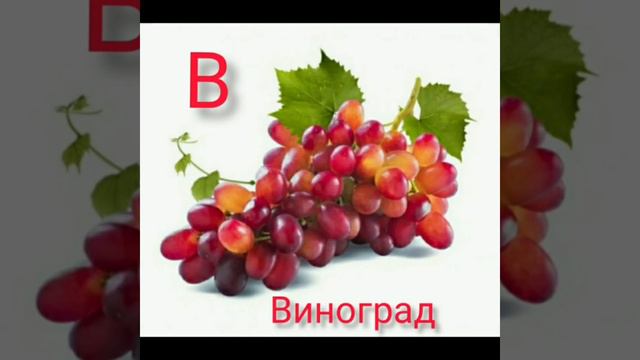 Изучаем русский. Урок-3 буква В смотреть онлайн