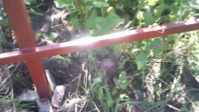 Установка забора из профлиста в Брянске смотреть онлайн