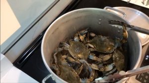 Голубые крабы! Как готовить голубого краба. Как хранить голубого краба.