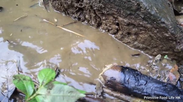 Primitive Life: Fish Under Crack Hole - Dig Catch Fish Meet Big Catfish - Catch Unique Fish