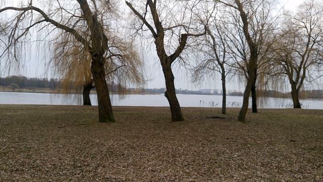 СЛУЧАЙНОСТЬ, ЗАКОНОМЕРНОСТЬ, ОРЁЛ И РЕШКА, ВЫБОР, ЖРЕБИЙ, УДАЧА, АТЕИЗМ, РЕЛИГИЯ, РПЦ, БОГ, ДЬЯВОЛ, смотреть онлайн