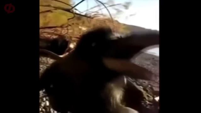 Страшные ФЕНОМЕНЫ Случайно Попавшие На Камеру смотреть онлайн