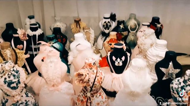 Мои " Красавицы "- моё любимое хобби! смотреть онлайн