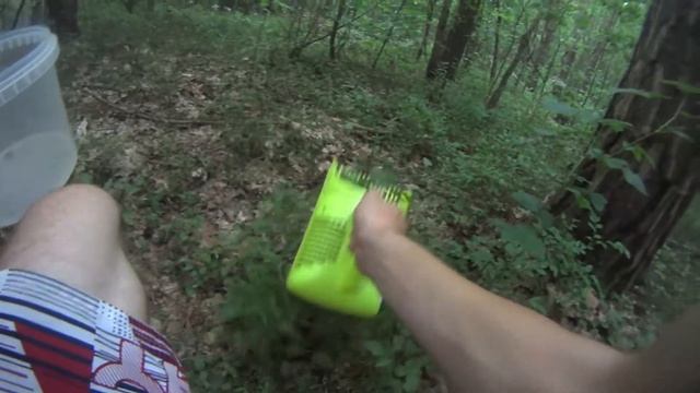 Сбор черники совком. Как собирать чернику комбайном? Как лучше собирать чернику? смотреть онлайн