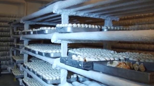 Предприятие «Ren-Milk» расширяет производство смотреть онлайн