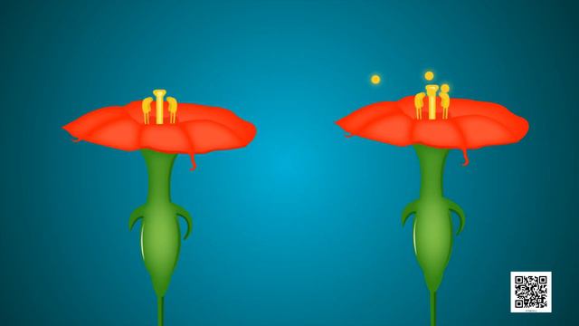 Class 7 Science Chapter 12 