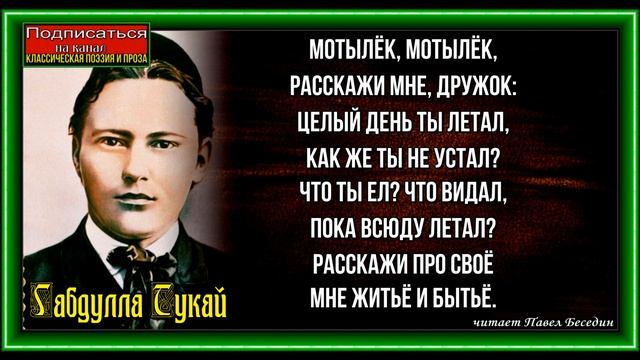 Дитя и Мотылёк  , Габдулла Тукай  , читает Павел Беседин