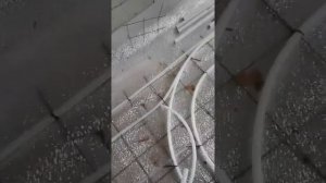 Подготовка Земляного пола 1 этажа под сухую стяжку. Строим дом