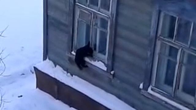 Твою ж мать, ну кто закрывает окна на зиму... смотреть онлайн