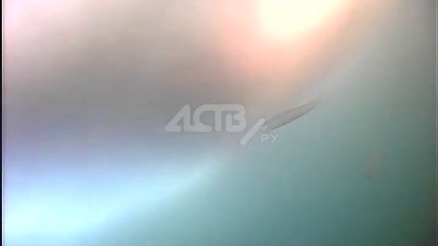 Корюшка идёт: что происходит подо льдом озера Изменчивое смотреть онлайн