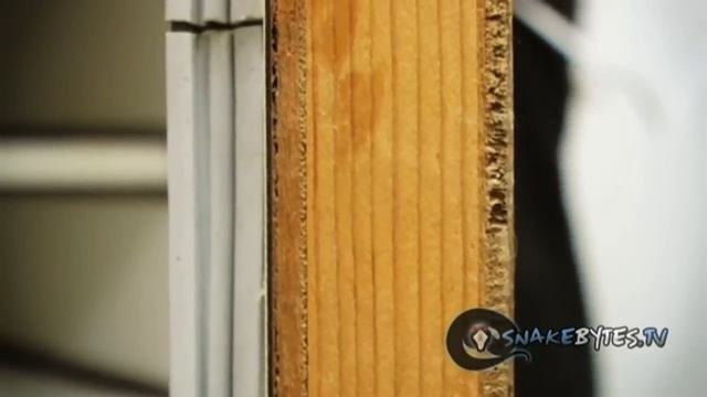 Snake Bytes TV - Snake Eggs and Incubation смотреть онлайн