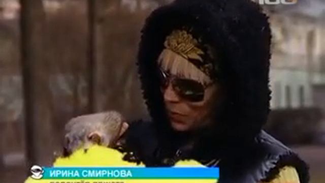Хорёк на ТВ | 100ТВ. Май 2013 смотреть онлайн