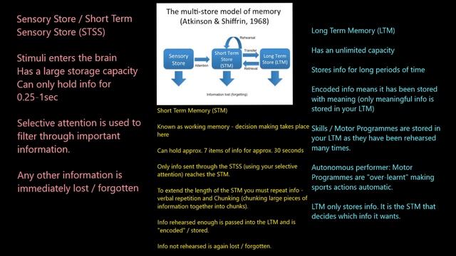 Memory Models смотреть онлайн
