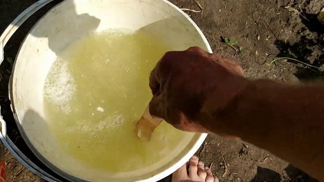 Пожелтели листья на огурцах.Что делать? смотреть онлайн