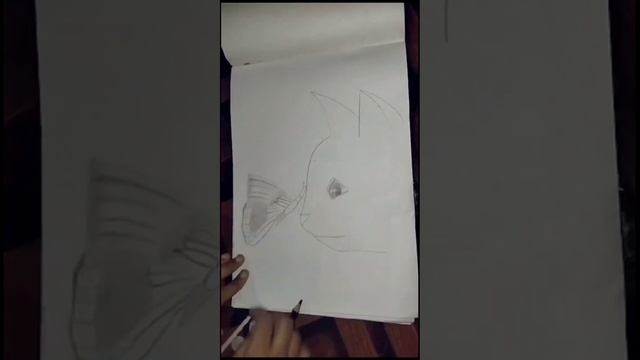 Cat Butterfly Pencil Sketch #art #explore #drawing #artist #explorepage #facebook смотреть онлайн