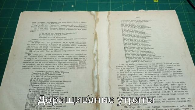 Авинариус КНИГА БЫЛИН 1880 г. смотреть онлайн