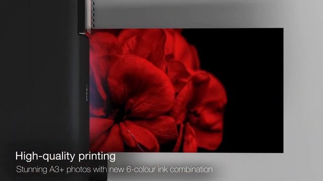 Epson ECOTANK L8180 смотреть онлайн