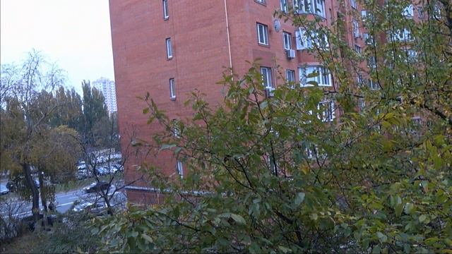 Мы заболели. смотреть онлайн