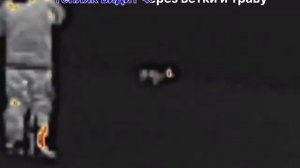 Тепловизор vs цифровой ночник