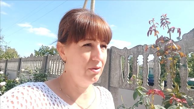 Мне КРУТО Повезло или Кто Ищет, Тот Найдет!! смотреть онлайн