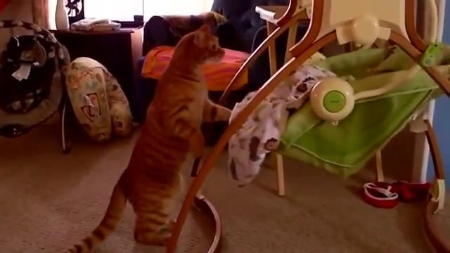Лучшая няня —Кошка или Кот-Баюн! смотреть онлайн