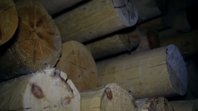 Сушильные камеры для сушки древесины смотреть онлайн