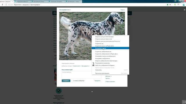 Как прикрепить изображение к сообщению на форуме . 2020 смотреть онлайн