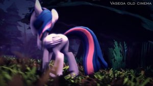 SFM MLP PONY