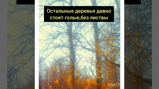 Дерево не собирается сбрасывать листья. смотреть онлайн