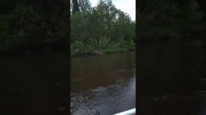 Когда только купил лодку Лоцман М-320 и мотор Hidea 5 л.с.