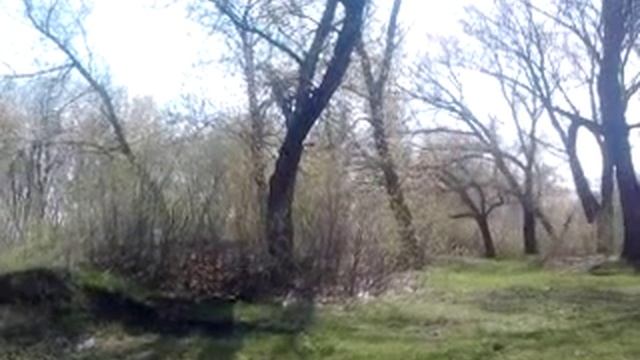 первые прыжки (проверка на прочность китайского питбайка) смотреть онлайн